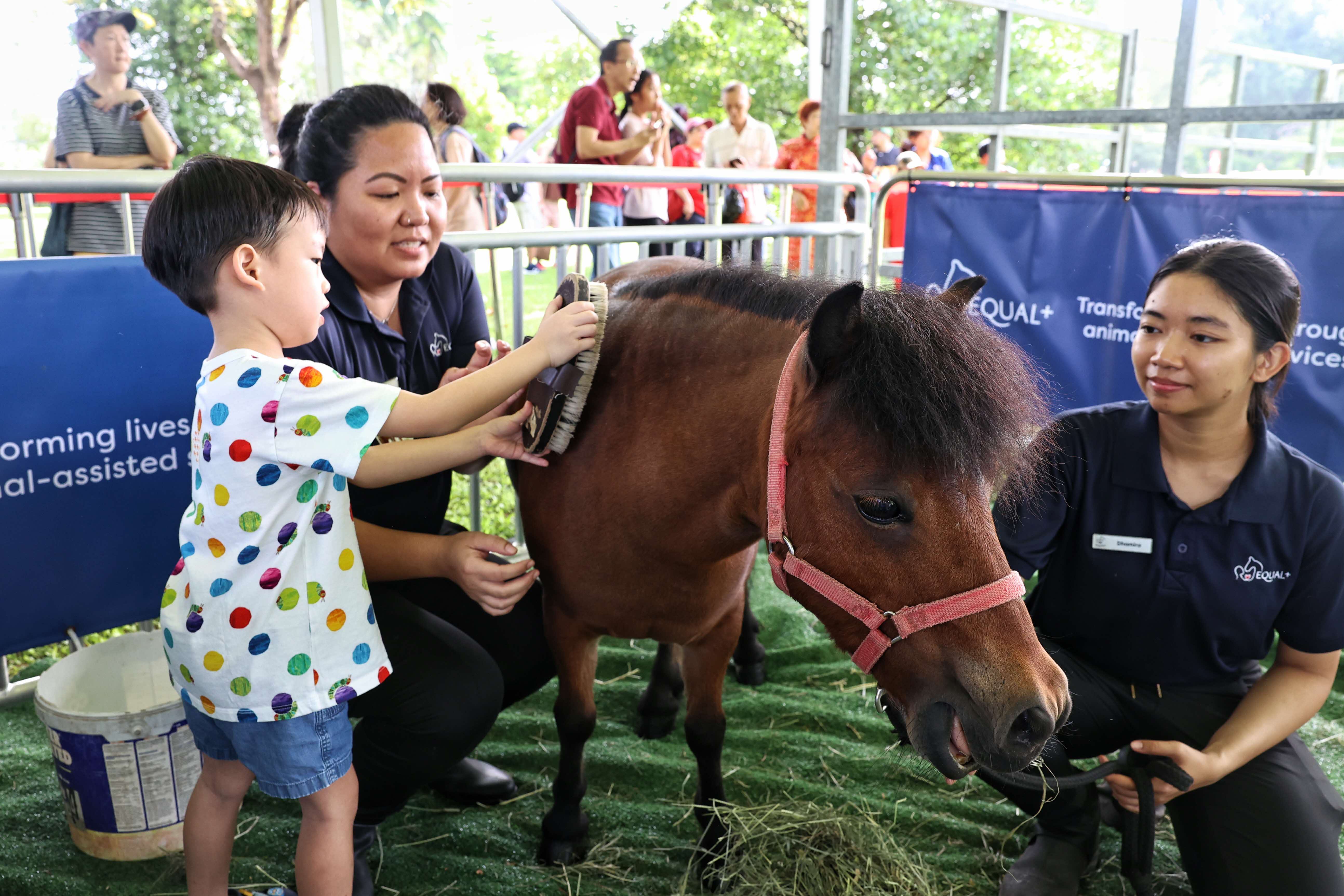 IOH CNY kid with horse